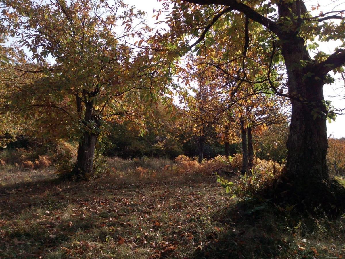 Casa Nel Bosco, Appennino Tosco Emiliano Appartement Camugnano Buitenkant foto