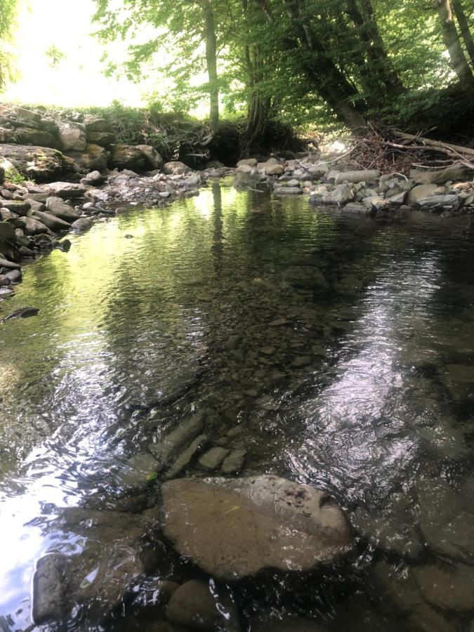 Casa Nel Bosco, Appennino Tosco Emiliano Appartement Camugnano Buitenkant foto